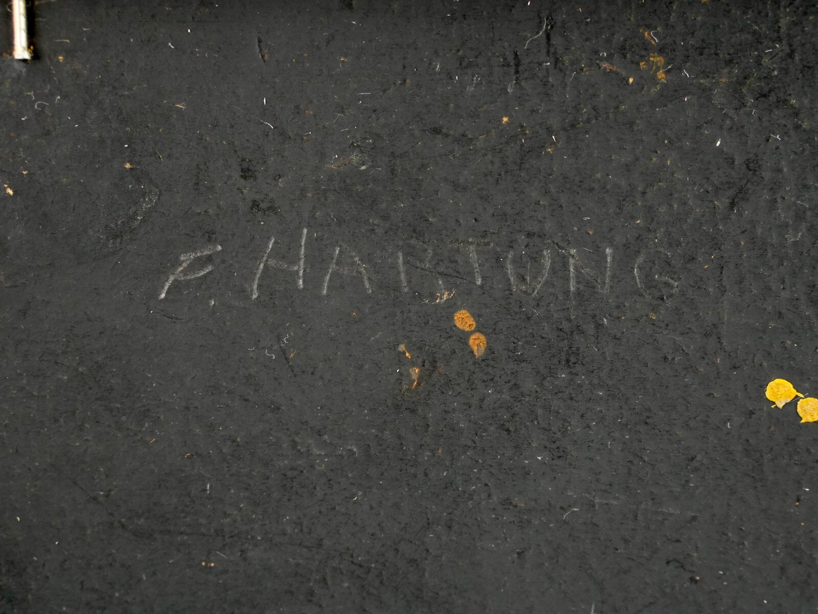 Vintage Original Landscape Oil on Board "Florida Lake Scene" By F. Hartung