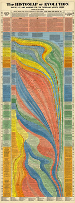 The Histomap of Evolution Timeline Poster- 10.000 million Years - Teacher Gifts