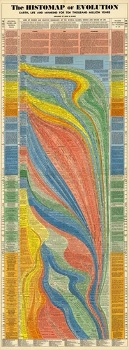 The Histomap of Evolution Timeline Poster- 10.000 million Years - Teacher Gifts