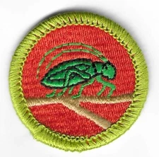 BSA INSECT STUDY MERIT BADGE CURRENT MINT NWT TYPE L SINCE 1910 BACK
