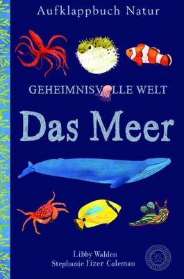 Libby Walden | Geheimnisvolle Welt | Buch | Deutsch (2018) | Das Meer | 18 S.