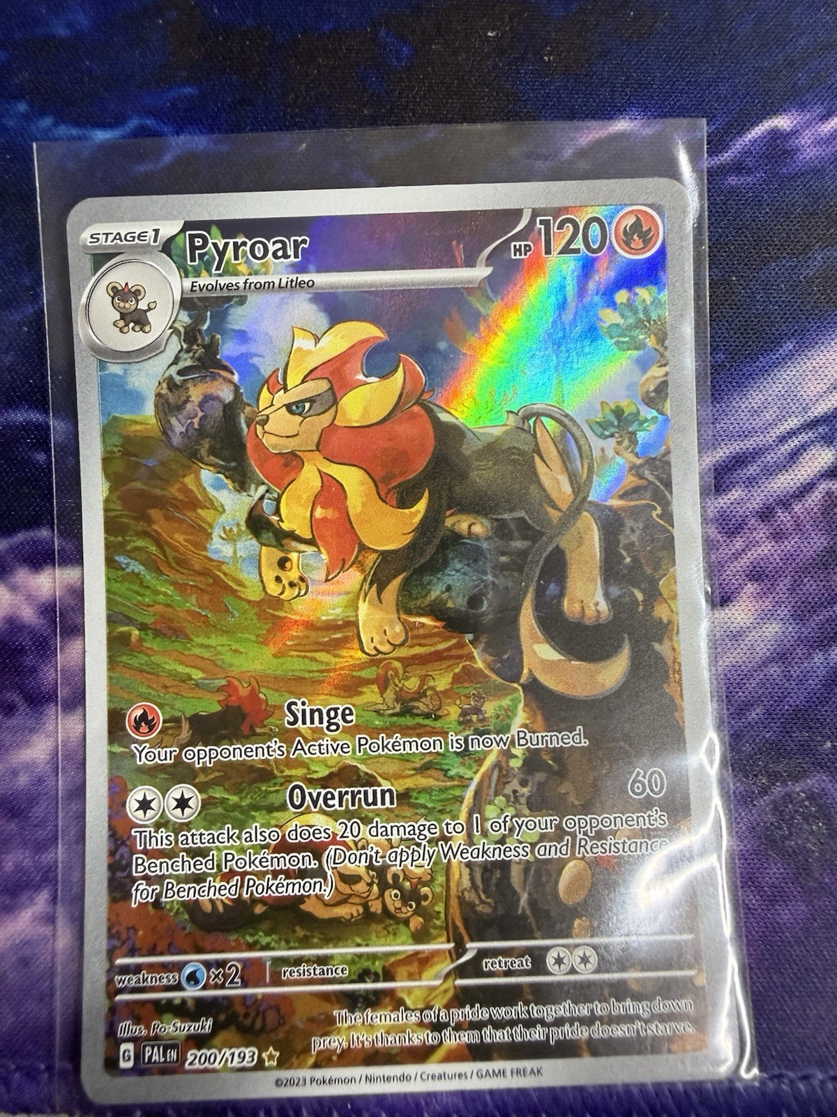 Pokémon TCG Pyroar Scarlet & Violet - Paldea Evolved 200/193 Holo NM