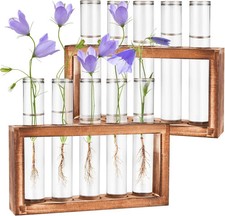 2pcs Desktop Glass Plant Propagation Station with 10 Test Tubes in Wooden Stand