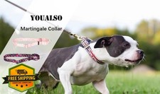 Choke Collar for Dogs No-Pull Martingale Training Collar Orange S