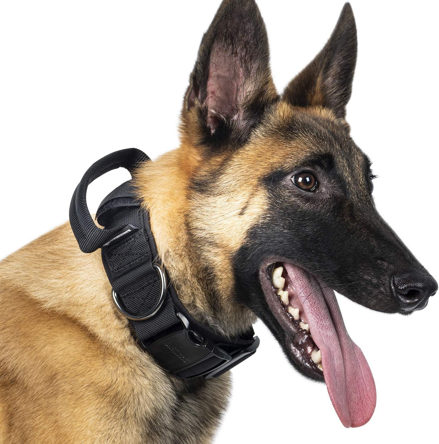 Collare per Cani XL in Nylon Nero - Fibbia Metallo Sgancio Rapido