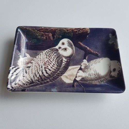 Magpie Snowy Owl Bird gothic art Audubon print Ceramic Tip Coin Tray 14cm - Picture 4 of 13