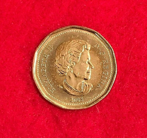 2005 CANADIAN $1 DOLLAR COIN - TERRY FOX 1958-1981 - MS CONDITION - Picture 2 of 2