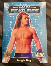 2022 Upper Deck AEW Wrestling Main Features Blue Parallel Jungle Boy #MF-22