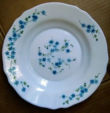 1 Arc Arcopal France Veronica Blue Flower Rimmed Soup Salad Bowl