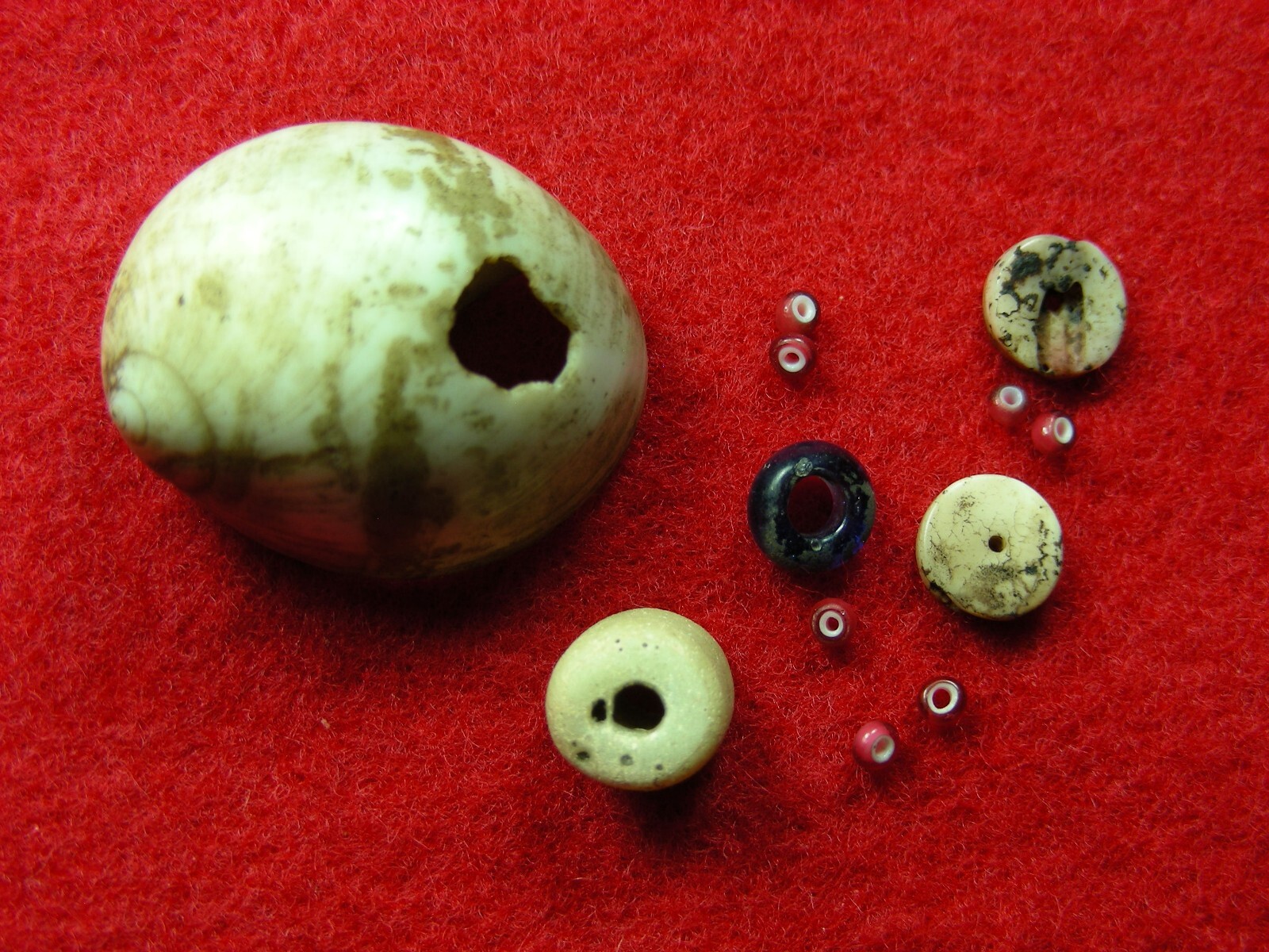 SHELL AND TRADE BEADS NEW JERSEY Authentic Indian Artifacts