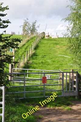 Foto 12x8 Ashill : Grasfeld Ashill \/ST0811 Eine Wiese mit Fuß c2013