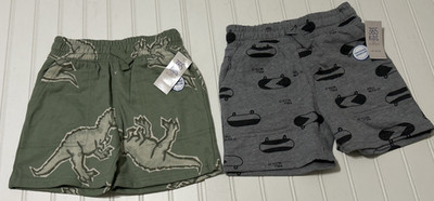 365 Kids from Garanimals Boys  Size 5  Fleece Shorts 2 Pack Dinosaur Skateboard