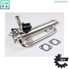 COOLER EXHAUST GAS RECIRCULATION 14SKV133 FOR PEUGEOT EXPERT/Platform/Chassis