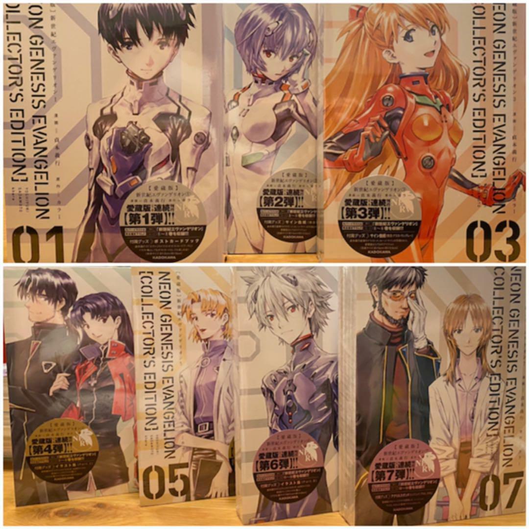 Foto 12 di 12