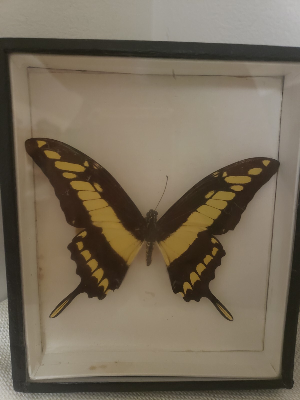 Picture 1 of 2