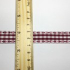 Bild 6 von 17