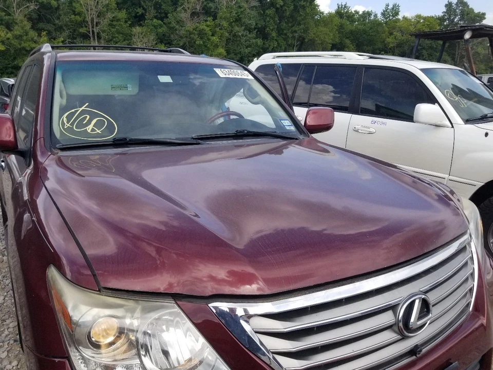 08 2008 LEXUS LX570 HOOD MAROON Foto 4 de 4