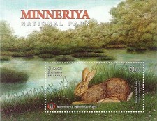 SRI LANKA 2025 MINNERIYA NATIONAL PARK BLACK NAPED HARE SOUVENIR SHEET 1
