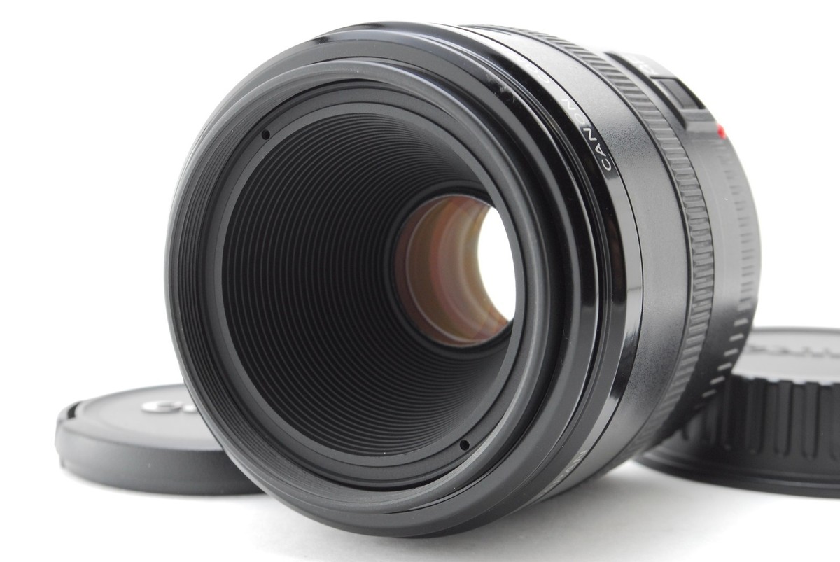 MINT] Canon EF 50mm f/2.5 Compact Macro Lens From JAPAN | eBay