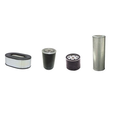 Filter Service Kit Fits AMMANN DVK223 w/Hatz Eng