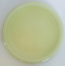 Vtg Pfaltzgraff Terrace Pistachio Green 13" Round Chop Plate