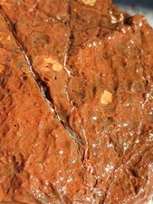 Jasper Rough Lapidary Special Possible Tumbling Material