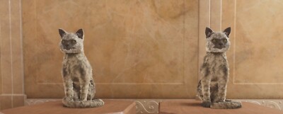 ARK SURVIVAL ASCENDED OFFICIAL PVE SOLID CAT PAIR