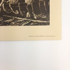 Picture 6 of 6