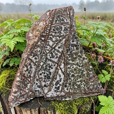Leopard Jasper, slab, cabbing rough, lapidary, #R-7167