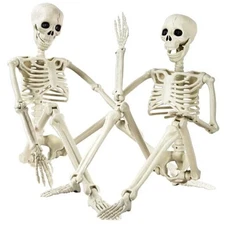 2 Pack 36" Halloween Skeleton, Full Body Posable Halloween Skeleton-2 set