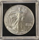 2024 Silver eagle 1oz .999 Silver, UNC Mint State, FREE SHIPPING