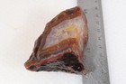 Argentine Condor Agate lapidary 7 oz. rough Lot Dc1 — photo 5