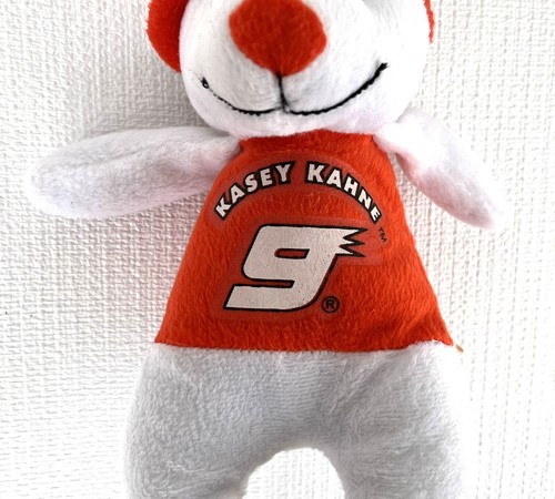 Nascar Racing Kasey Kahne #9 Accelerator Bear Plush Stuffed RCR Collectible - Picture 5 of 7
