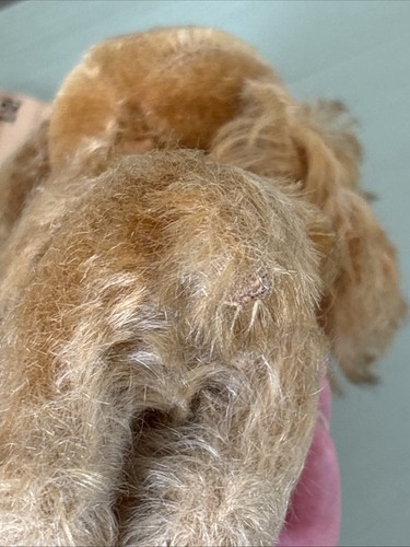 Vintage Stuffed Animal Steiff Germany Toy Mohair Cockie Cocker Spaniel Dog NoTag - Picture 22 of 24