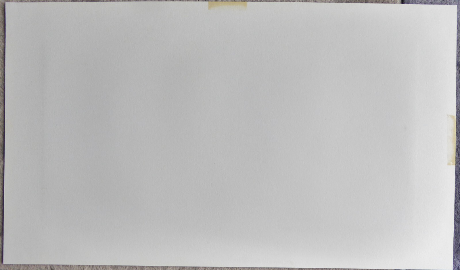 Picture 5 of 5