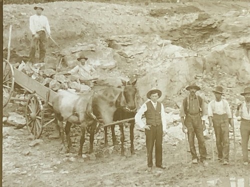 Vintage Occupational Cabinet Card Miners - Road Builders - Excavators - Horses - Picture 10 of 12