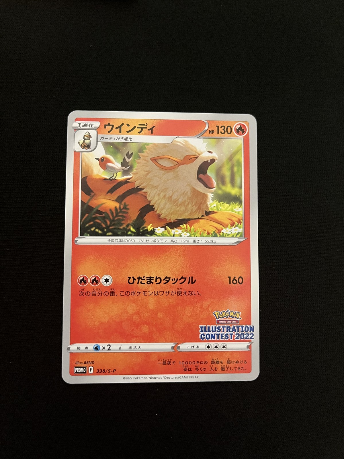 Arcanine 2022 Japanese S Promo #338/S-P Illustration Contest 2022