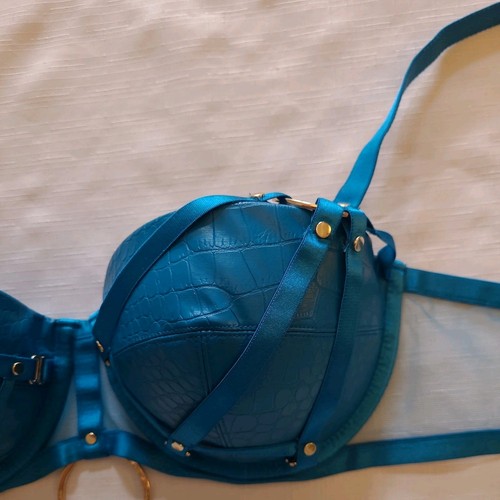 Honey Birdette Mistress T Peacock Blue Bra 36C Excellent Used Condition - Picture 20 of 24