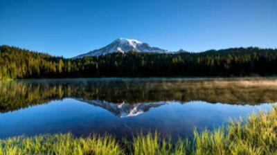 Wandbild: Wunderschöne Wildblumen und Mount Rainier, Bundesstaat [...]