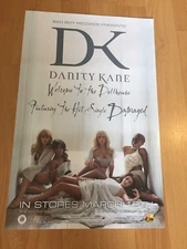 Sexy DANITY KANE Welcome to Dollhouse 11" x 17" Promo Poster Making The Band DK3