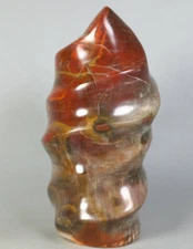 Natural Petrified Wood Polished Crystal Stone Freeform Upstand Madagascar  362g