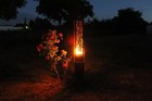 Bild 2 von 10