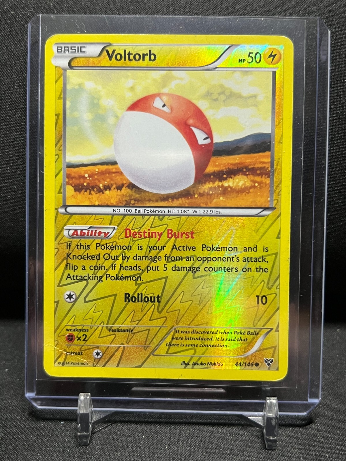 Voltorb 44/146 Reverse Holo Pokémon 2014 XY Base Set HP