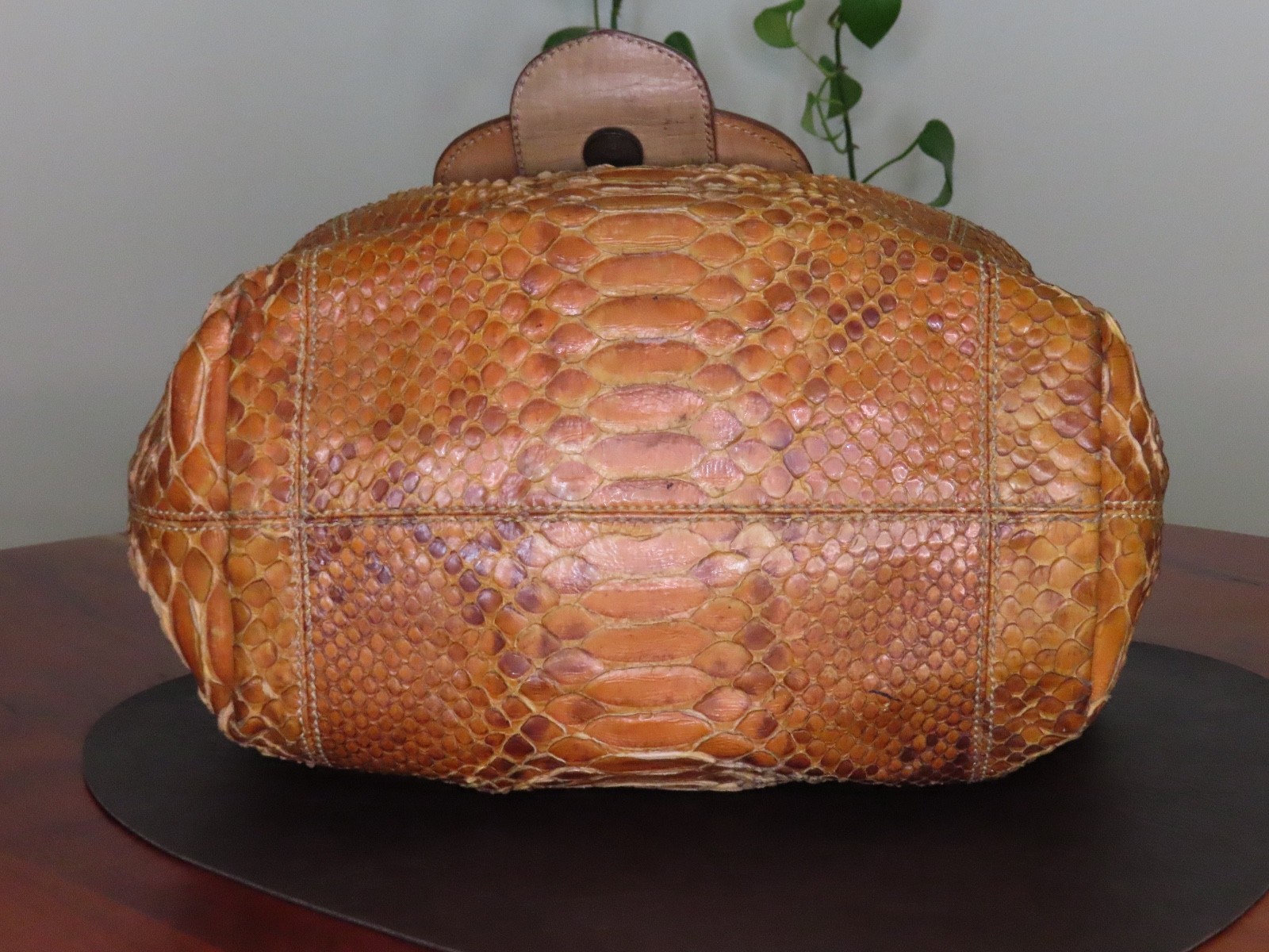 Tan Fendi Python Medium Shoulder Bag - image 14