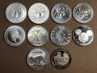 Lot of 10 Assorted 1oz .999 Silver Rounds • Total of 10oz .999 Silver