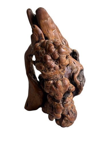 Vintage Abstract Burl Wooden Sculpture Base Signed CR On Base 10 Inches Taller - Picture 6 of 11