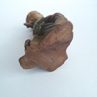 Bild 8 von 13
