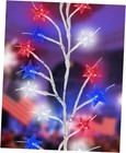 4th of July Decorations Patriotic Lights, Red White and Blue Star Vine Lights