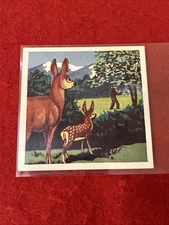 1952 Granose Food “Adventures Of Billy The Buck” Trade Card #14  EX