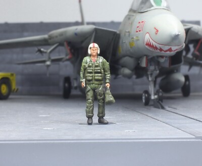 US Navy Fighter Pilot 1:72 Pro Built Model #1